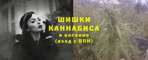 соль ск Болохово